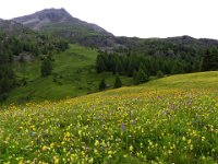004  AUSTRIA