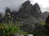 006  ITALY