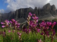 058  ITALY