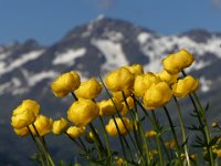 064  AUSTRIA