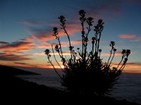 079  SPAIN (CANARY ISLANDS)