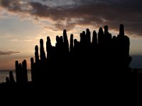 080  SPAIN (CANARY ISLANDS)