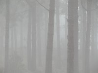 136  SPAIN (CANARY ISLANDS)