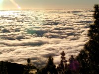 155  SPAIN (CANARY ISLANDS)