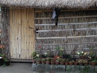 031  PHILIPPINES