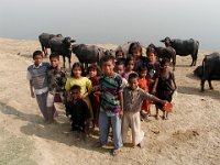 014  INDIA