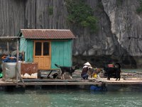 009  VIETNAM