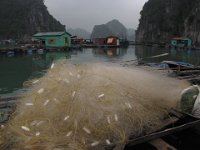 033  VIETNAM