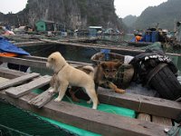 063  VIETNAM