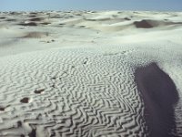 070  TUNISIA