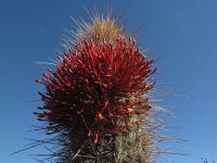 108  CHILE