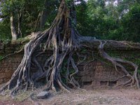 029  CAMBODIA