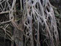 030  CAMBODIA