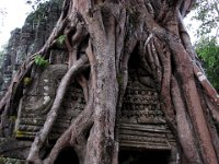 031  CAMBODIA