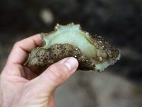 055  THAILAND