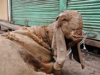 013  INDIA