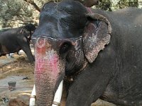051  INDIA