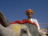 052  INDIA