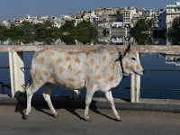 002  INDIA
