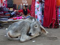 026  INDIA