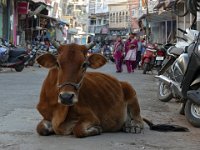 027  INDIA