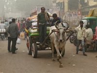 063  INDIA