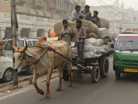 064  INDIA