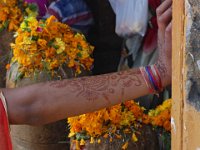 071  INDIA