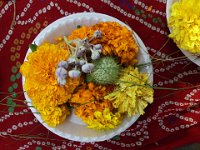 072  INDIA