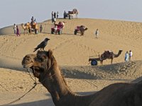 157  INDIA