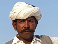 331  INDIA