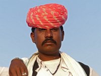 334  INDIA
