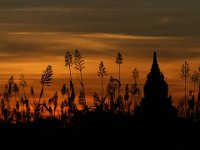 002  MYANMAR