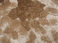 026  SPAIN (CANARY ISLANDS)