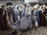331  EGYPT