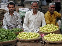 341  INDIA