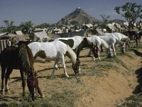 015  INDIA