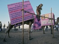 016  INDIA