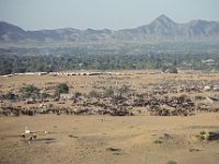 017  INDIA