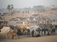 018  INDIA