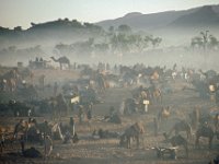 019  INDIA