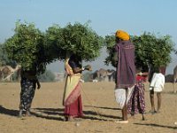 038  INDIA