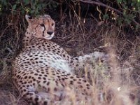015  KENYA