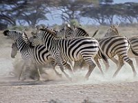 021  KENYA
