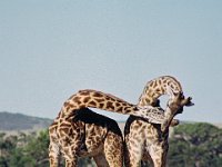 026  KENYA