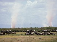 047  KENYA