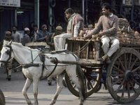 065  INDIA