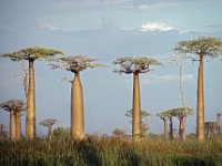 025  MADAGASCAR