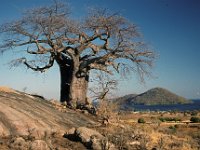 029  MALAWI