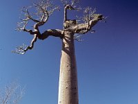 030  MADAGASCAR